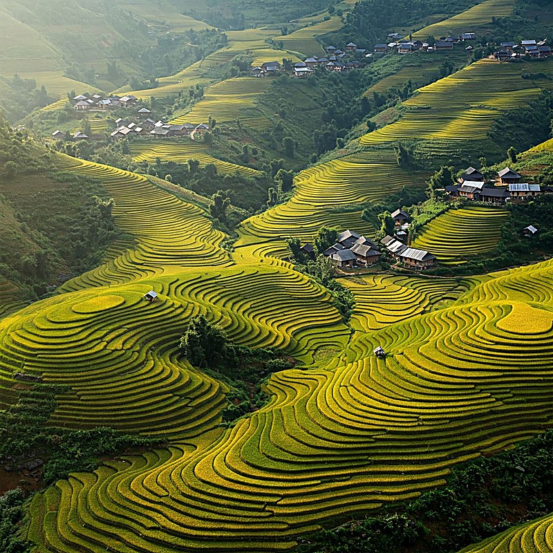 cách làm bánh bèo Huế