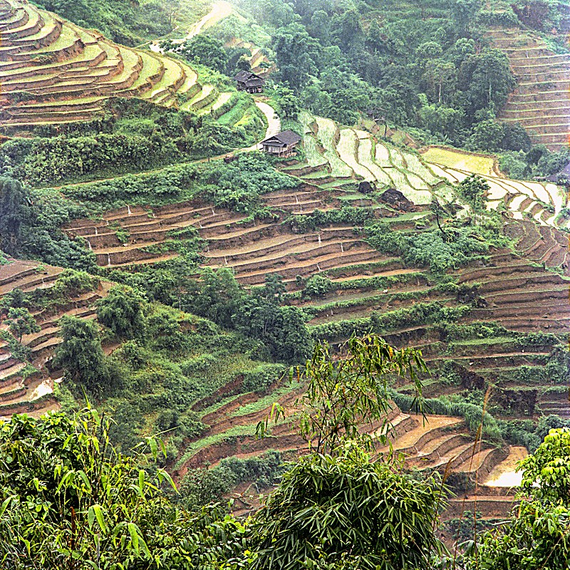 cơm hến Huế tại nhà
