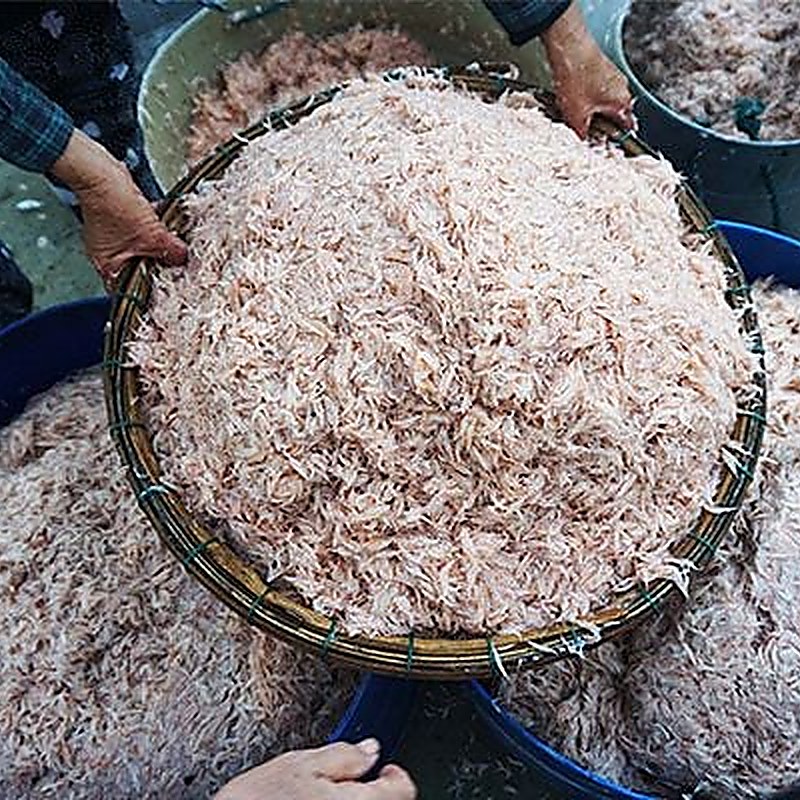 mắm ruốc Huế tự làm